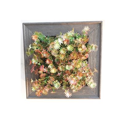 China Home Decoration Large Size Indoor Fancy Decoration Succulent Plant Photo Frame For Sale for sale