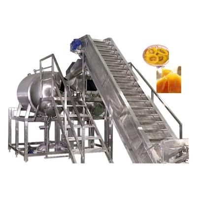 China Factory Frozen Fruits and Vegetables Small Dried Preserved Fruit Processing Line for sale