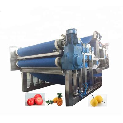 China food & Beverage Factory Carrot Peach Frozen Fruit Juice Preserved Mango Apple Fruit Snacks Processing Plant for sale