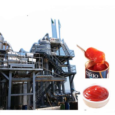 China Fruit Mulberry Nectar RTD Juice Concentrate Jam Soft Drink Processing Production Line for sale