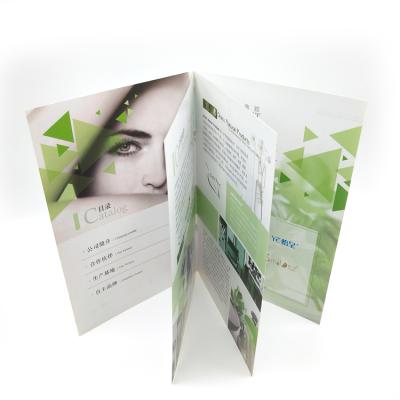 China Custom offset printing China booklet /flyer / OEM eco-friendly A5 newest colorful A4 / leaflet printing for sale