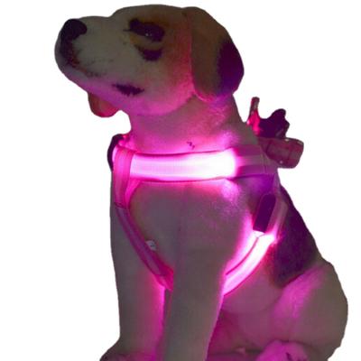 China Dogs Rabbit LED Pet Flashing Collar For Night Safety Guard Anti-Lost Dog Leash Pet Arm Leashes Set for sale