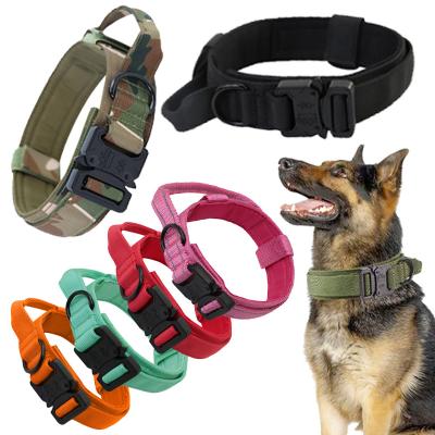 China ZSGD Rabbit Pet Collars Outdoor Travel Stocked Nylon Medium Large Training Dog Collar for sale