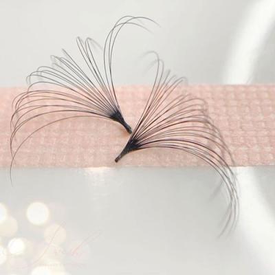 China One Second PBT Fan Eyelash Blossom Korean Brown Color Easy Extension Natural Long Lash Tray Custom Made for sale