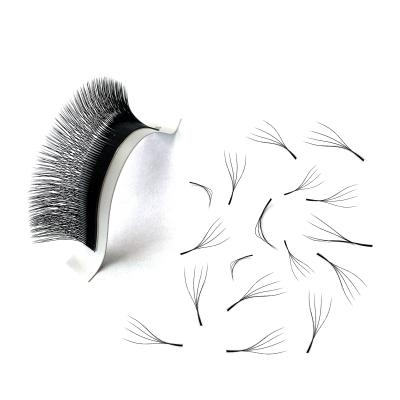 China New Styles 4d Crisscross Premade Volume Fans Lash Eyelash Extension for sale