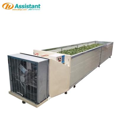 China DL-6CWD-750 Tea Withering Machine 18 KW Heating Power Stainless Steel for Tea Drying for sale