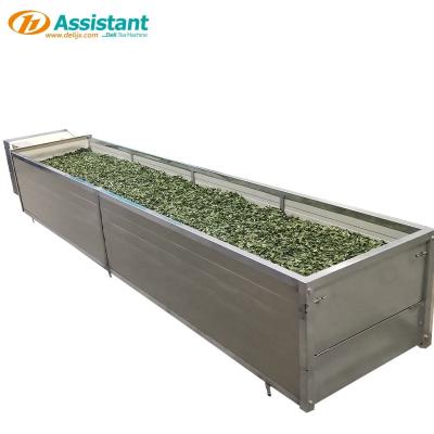 China Máquina para secar el té de materia prima DL-6CWD-1090 con viento caliente y sistema de enfriamiento en venta