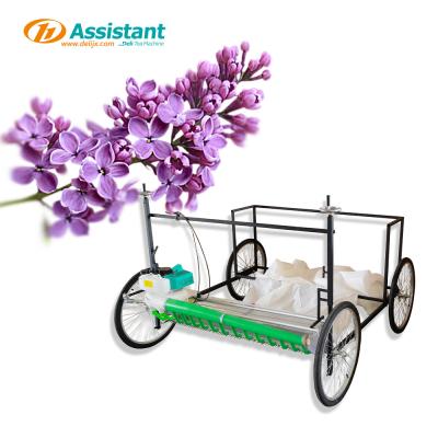 China La cosechadora de té de 300 mm DL-4CP-1210W La solución definitiva para la producción de té de lavanda en venta