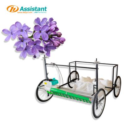 China 300 mm werkwijdte DL-4CP-1210W Lavendelbloemen Stevia-oogstmachine voor voedingsmiddelen Te koop