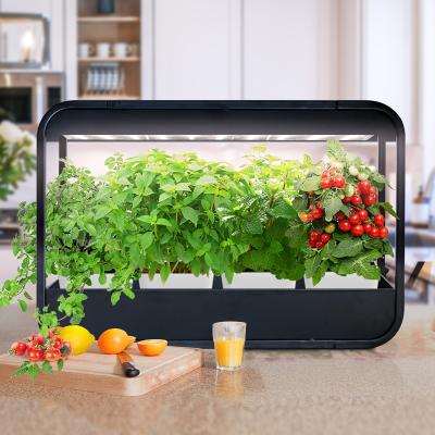 China Nordic Design J&C Style Minigarden Koguva - Kitchen Grow Light Black Nordic Indoor Herb Garden for sale