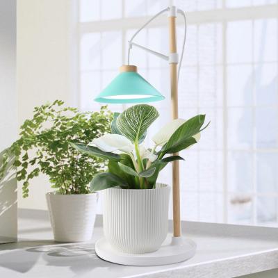 China J&C style wooden herb garden grow kit desk lamp led lights good for plants morandi color plant grow promoter for sale