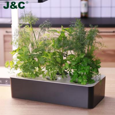 China J&C Minigarden Accessories 6 Hydroponic Pot Box Hydroponic Growing Kit System for sale