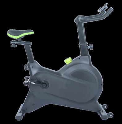 China Hot Selling New Design Home Use Indoor Mute And Lightweight Exercise Spinning Bike 9909C for sale