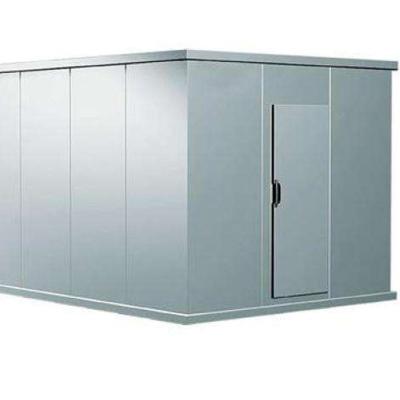 China Hotels Seeds Cold Storage Room With PU Insulation Stainless Steel Sliding Door for sale