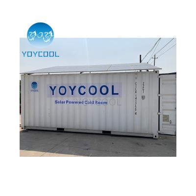 China Solar Powered Cold Room Solar Export To Sierra Leone Cold Room Moving Frozen Meat Room for sale