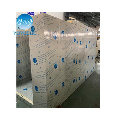 China Container NUMBER ONE cold room best walk in cooler mini cold room for fish mini frezer cold room for sale