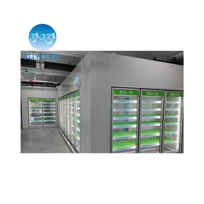 China Commercial Container Walk In Cooler For USA Market Cooler Cold Room Container Unit With Display Door for sale