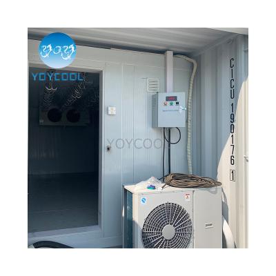 China Hotels 40ft Container Refrigerator 20ft 40ft Cold Room Container Cold Room Storage Container for sale