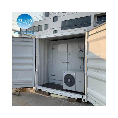 China 20FT Container NUMBER UN 40FT Refrigerated Container For YOYCOOL Meat Fish Seafood for sale