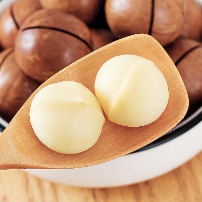 China Factory Manufacturer High Quality Low Salt Price Chocolate Macadamia Nuts For Sale for sale