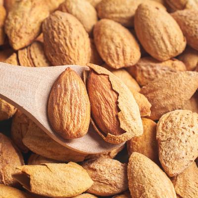 China Low Salt Organic Almonds Almonds Bulk Nuts Organic Rich Nutrition For Sale for sale