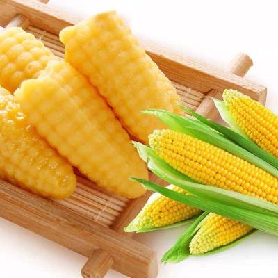 China Wholesale Natural Chinese Candies Corn Shaped Soft Gummy Candy Candy for sale