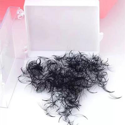 China Premade fans wholesale price high quality premade volume fans 0.05 0.07mm 300 500 1000 premade fans eyelash extensions for sale