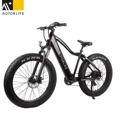 China Customized aluminum alloy Chinese factory logo electric bikes 26