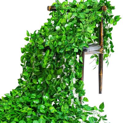 China Touch Natural Artificial Hanging Vines / Plant Environmentally Friendly Indoor Outdoor Artificial Decorative Plastic Plants Plants for sale