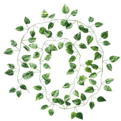 China Natural Touch / Environment Friendly Artificial Plants Vine Foliage Home Wedding Decorative Flowers Artificial Dry Door for sale