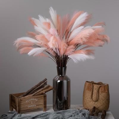 China Amazon Wholesale Home Decor Wedding Decor/Wedding Pampas Grass Hot Sale Custom Artificial Pampas Grass Home Flower for sale