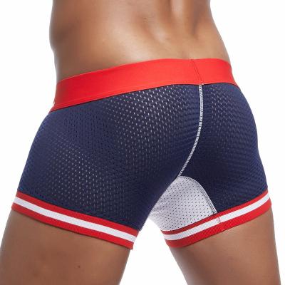 China Men's Antibacterial Classical Underwear Mesh Boxer Shorts Sports Plus Size Fashion Contrast Color Sexy Trunks Briefs for sale