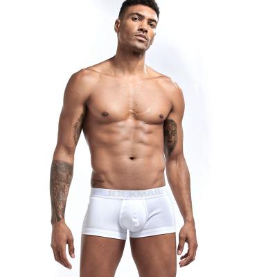 China High Quality Cotton Jacquard Antibacterial Customizable Elastic Band Mens Underwear Solid Color Waist Boxer Low Briefs Youth Underpants for sale