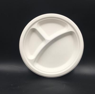 China Disposable Compartments Modern Eco - Friendly Biodegradable Food Containers for sale