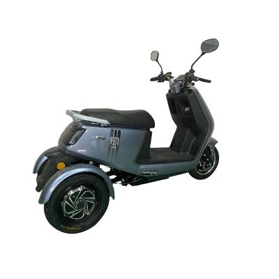 China Passenger Lead Acid Battery 3.0-10 / Tubeless Tire Three Wheel Electric E-tricycle for sale