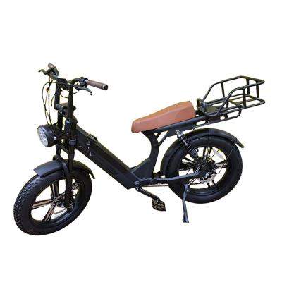 China Adult Electric Electric Bike 750W 48V 10AH Motorcycle 12 for sale