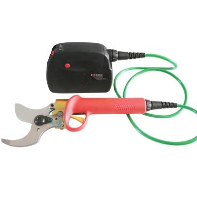 China Anti-Slip Handle Orchard Lithium Ion Battery Shears Fruit Trees Branch Balancing Scissors for sale