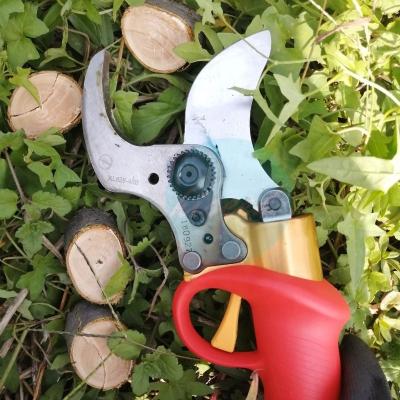 China Anti-skid Battery Operated Vineyards Battery Operated Electric Scissors Portable Electric Citrus Tree Shears for sale