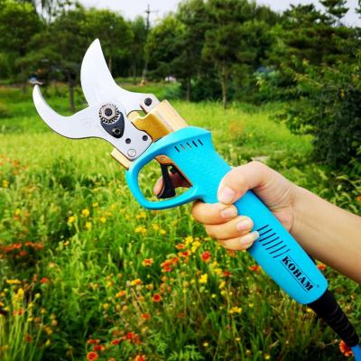 China Anti-skid Handle Pruners Electric Pruners Vineyard Garden Shears Battery Operated Shears for sale