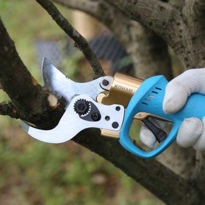 China Electric anti-skid handle shear/professional garden tool for tree pruning and grafting for sale