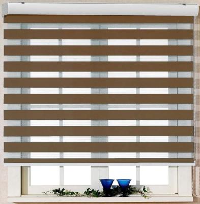 China Minimalist Two Layers 100% Polyester Zebra Double Roller Blinds For Window Blinds for sale