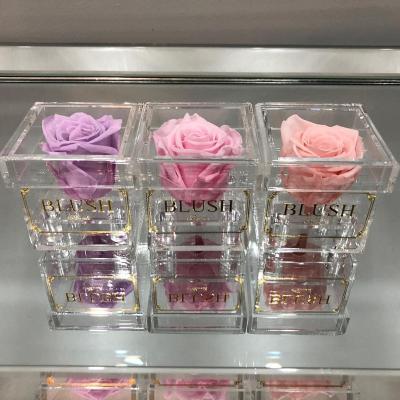 China Natural Square Fresh Rose Luxury Preserved Clear Acrylic Flower Preserved Roses In Acrylic Box As Gifts for sale