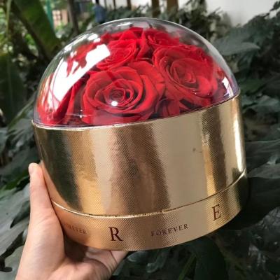 China Natural Fresh Preserved Roses In Acrylic Heart Rose Round Box Valentine Forever Eternal Long Last for sale