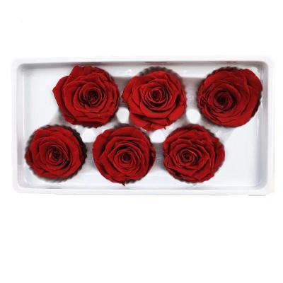 China Wholesale Cheap Bridal Bouquets China Rose With 6cm Long 5-6cm Preserved Stem for sale