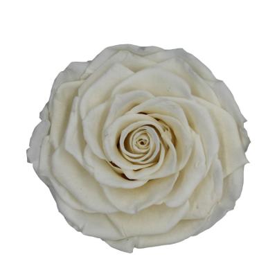 China Bridal Bouquets Wholesale Clear Acrylic Preserved Roses Eternal Flower Place Forever 2-3cm Rose In Box for sale