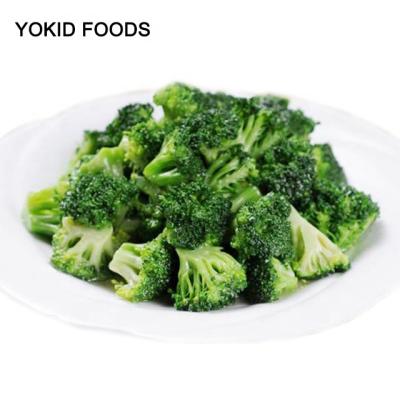 China iqf frozen broccoli in bulk FROZEN for sale