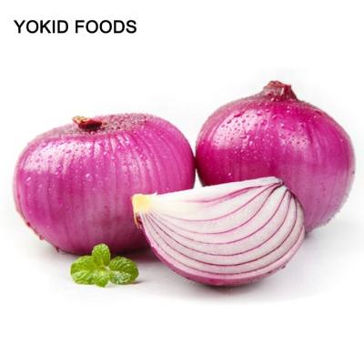 China fresh fresh red onion price for sale