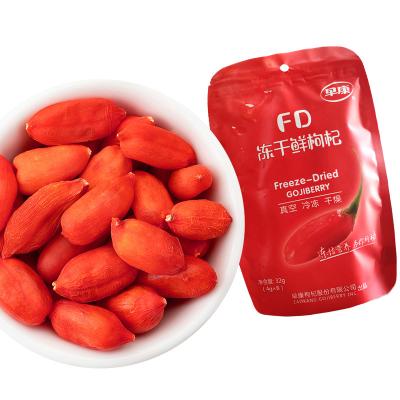 China Ningxia dry dried goji berry for sale