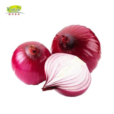 China Fresh Red Onion 60mm Size FOB Price Importers In Singapore for sale