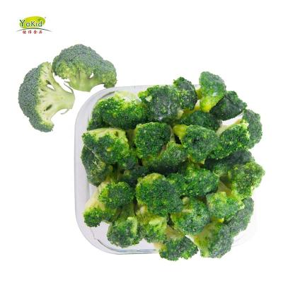 China FROZEN Grade Wholesale High Quality Organic Frozen Kosher Export IQF Fresh Broccoli for sale